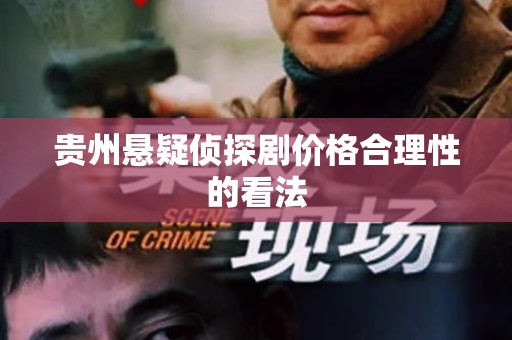 贵州悬疑侦探剧价格合理性的看法