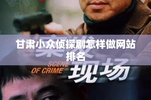 甘肃小众侦探剧怎样做网站排名