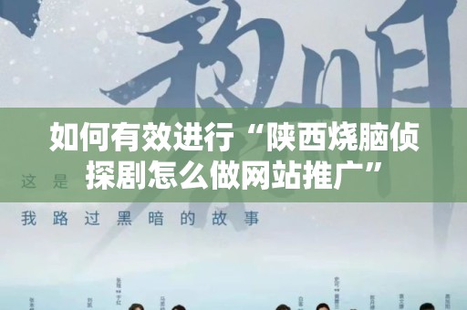 如何有效进行“陕西烧脑侦探剧怎么做网站推广”