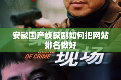 安徽国产侦探剧如何把网站排名做好