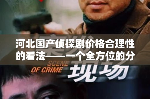河北国产侦探剧价格合理性的看法——一个全方位的分析