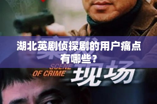 湖北英剧侦探剧的用户痛点有哪些？