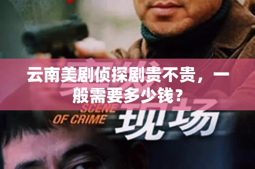 云南美剧侦探剧贵不贵，一般需要多少钱？