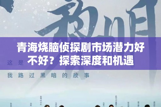 青海烧脑侦探剧市场潜力好不好？探索深度和机遇