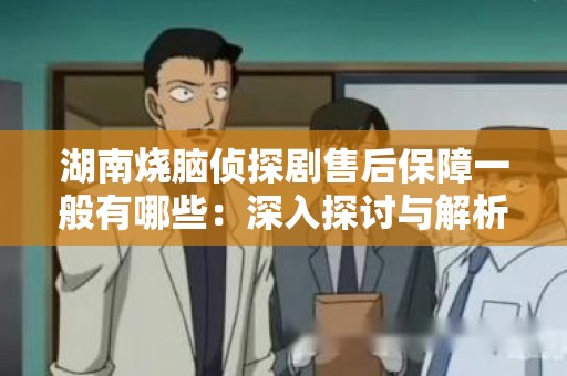 湖南烧脑侦探剧售后保障一般有哪些：深入探讨与解析