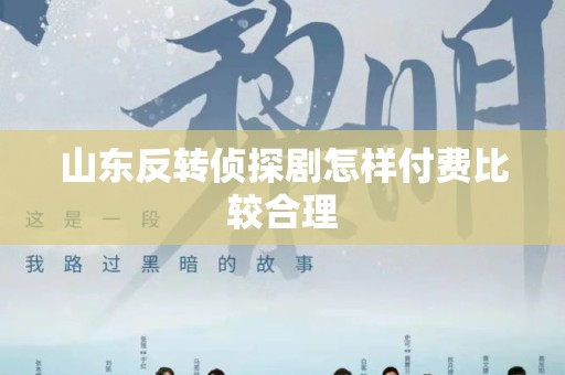山东反转侦探剧怎样付费比较合理