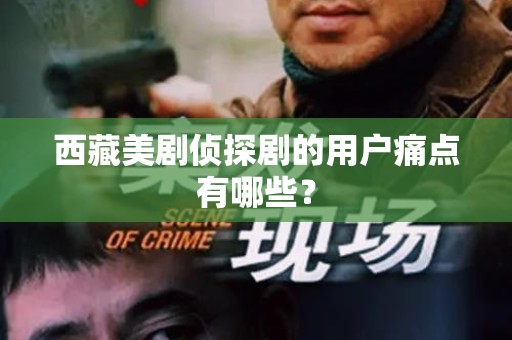 西藏美剧侦探剧的用户痛点有哪些？