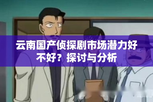 云南国产侦探剧市场潜力好不好？探讨与分析