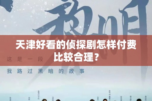 天津好看的侦探剧怎样付费比较合理？
