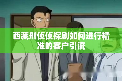 西藏刑侦侦探剧如何进行精准的客户引流