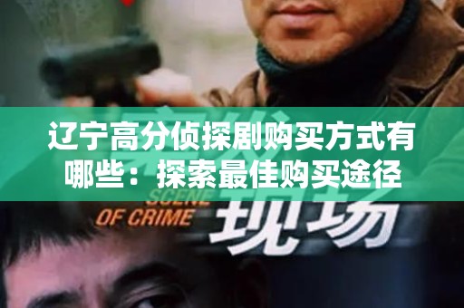 辽宁高分侦探剧购买方式有哪些：探索最佳购买途径