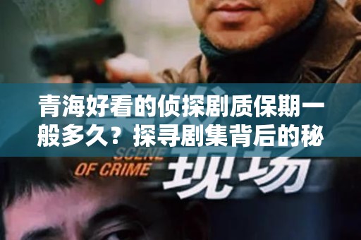 青海好看的侦探剧质保期一般多久？探寻剧集背后的秘密