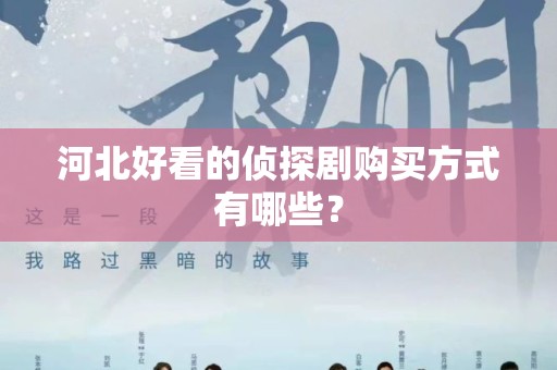 河北好看的侦探剧购买方式有哪些？