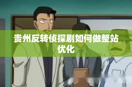 贵州反转侦探剧如何做整站优化