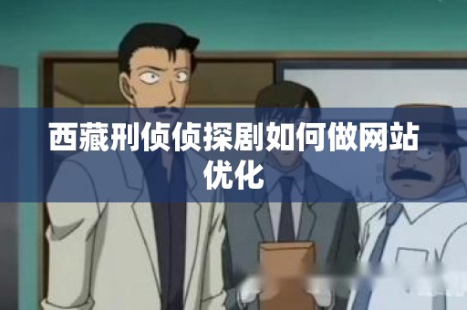 西藏刑侦侦探剧如何做网站优化