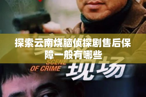 探索云南烧脑侦探剧售后保障一般有哪些