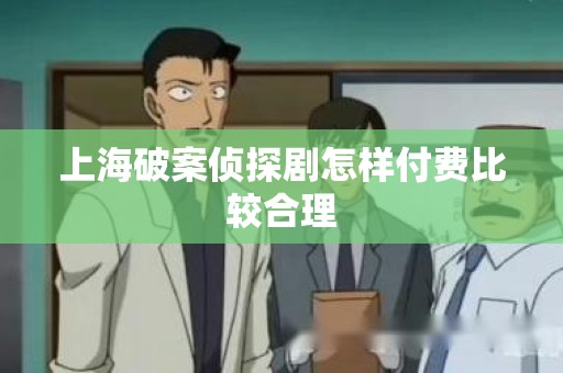上海破案侦探剧怎样付费比较合理
