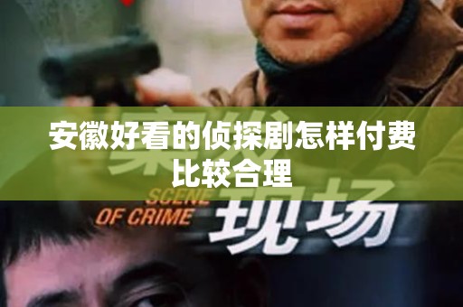 安徽好看的侦探剧怎样付费比较合理