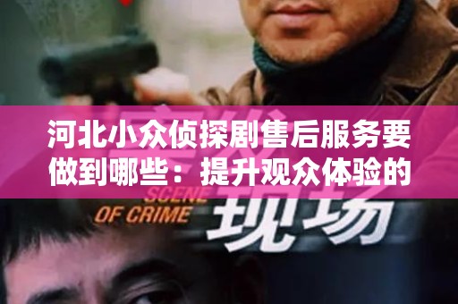 河北小众侦探剧售后服务要做到哪些：提升观众体验的关键
