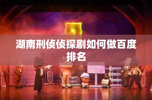 湖南刑侦侦探剧如何做百度排名