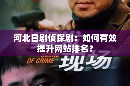 河北日剧侦探剧：如何有效提升网站排名？