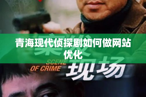 青海现代侦探剧如何做网站优化
