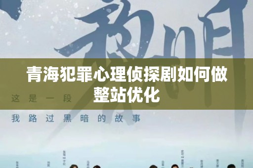 青海犯罪心理侦探剧如何做整站优化