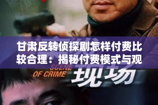 甘肃反转侦探剧怎样付费比较合理：揭秘付费模式与观众心理