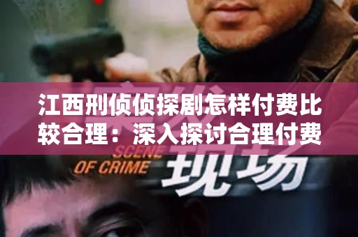 江西刑侦侦探剧怎样付费比较合理：深入探讨合理付费机制