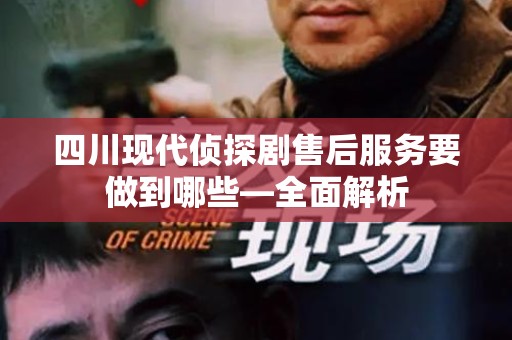 四川现代侦探剧售后服务要做到哪些—全面解析