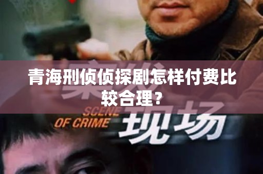 青海刑侦侦探剧怎样付费比较合理？