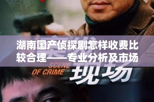 湖南国产侦探剧怎样收费比较合理——专业分析及市场趋势