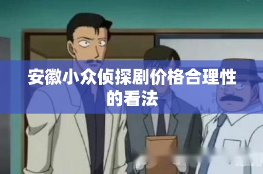 安徽小众侦探剧价格合理性的看法