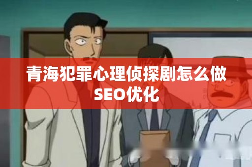 青海犯罪心理侦探剧怎么做SEO优化