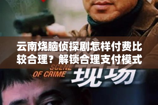 云南烧脑侦探剧怎样付费比较合理？解锁合理支付模式，提升观影体验