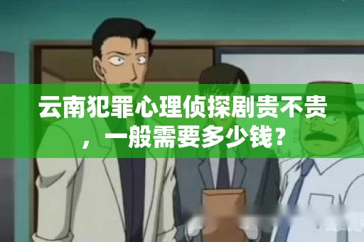 云南犯罪心理侦探剧贵不贵，一般需要多少钱？