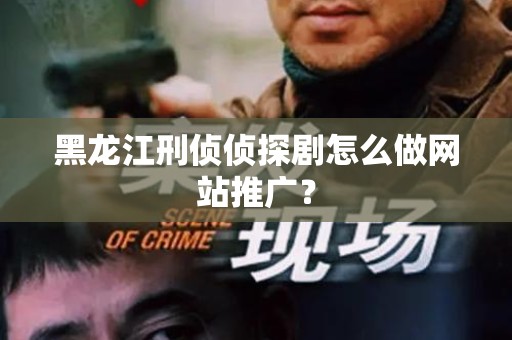黑龙江刑侦侦探剧怎么做网站推广？