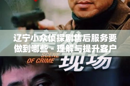 辽宁小众侦探剧售后服务要做到哪些 - 理解与提升客户满意度的关键