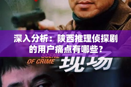 深入分析：陕西推理侦探剧的用户痛点有哪些？
