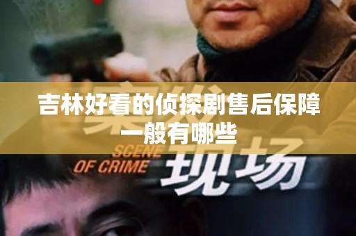 吉林好看的侦探剧售后保障一般有哪些