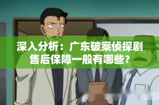深入分析：广东破案侦探剧售后保障一般有哪些？