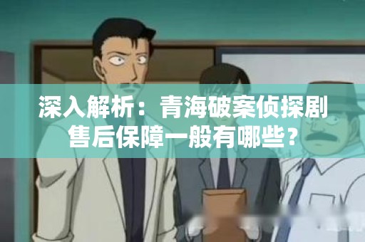 深入解析：青海破案侦探剧售后保障一般有哪些？