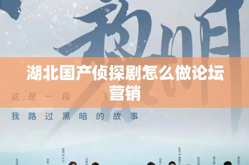湖北国产侦探剧怎么做论坛营销