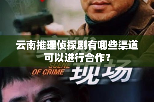 云南推理侦探剧有哪些渠道可以进行合作？