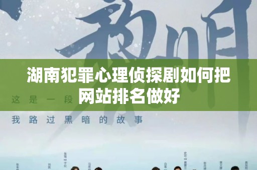湖南犯罪心理侦探剧如何把网站排名做好