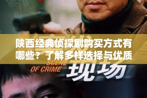 陕西经典侦探剧购买方式有哪些？了解多样选择与优质推荐！