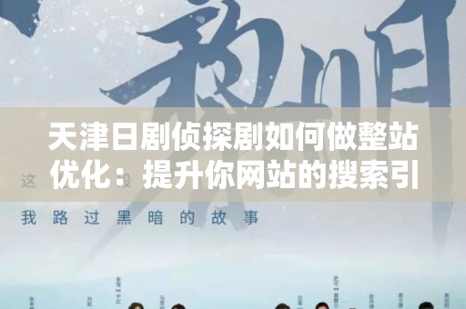天津日剧侦探剧如何做整站优化：提升你网站的搜索引擎排名