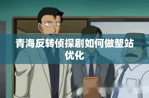 青海反转侦探剧如何做整站优化