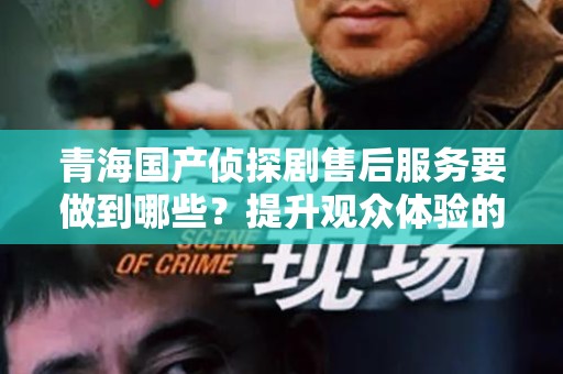 青海国产侦探剧售后服务要做到哪些？提升观众体验的必备策略