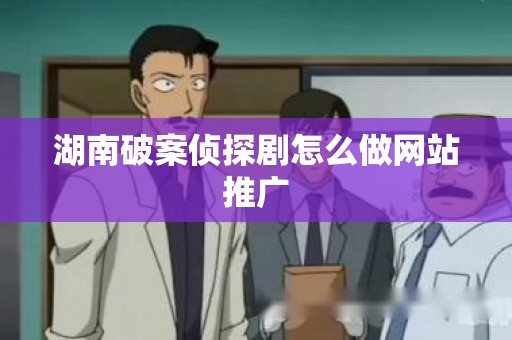 湖南破案侦探剧怎么做网站推广